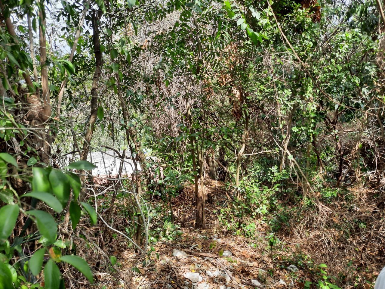 Fifth image of Lot #80-belvedere Belvedere Road in Belvedere, St. Andrew, Jamaica - property is For Sale