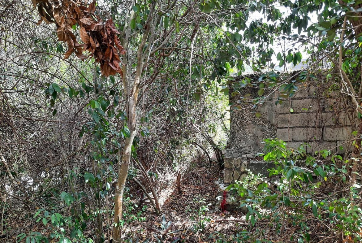 Eighth image of Lot #80-belvedere Belvedere Road in Belvedere, St. Andrew, Jamaica - property is For Sale