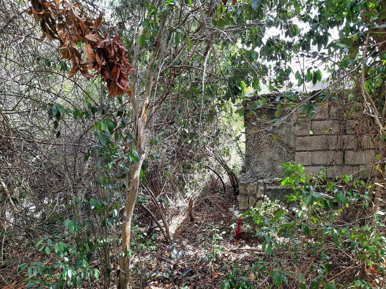 Eighth image of Lot #80-belvedere Belvedere Road in Belvedere, St. Andrew, Jamaica - property is For Sale
