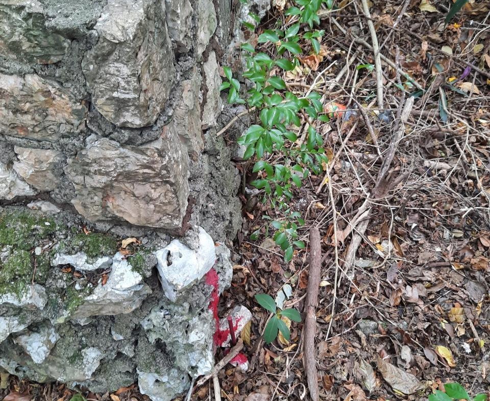 Ninth image of Lot #80-belvedere Belvedere Road in Belvedere, St. Andrew, Jamaica - property is For Sale