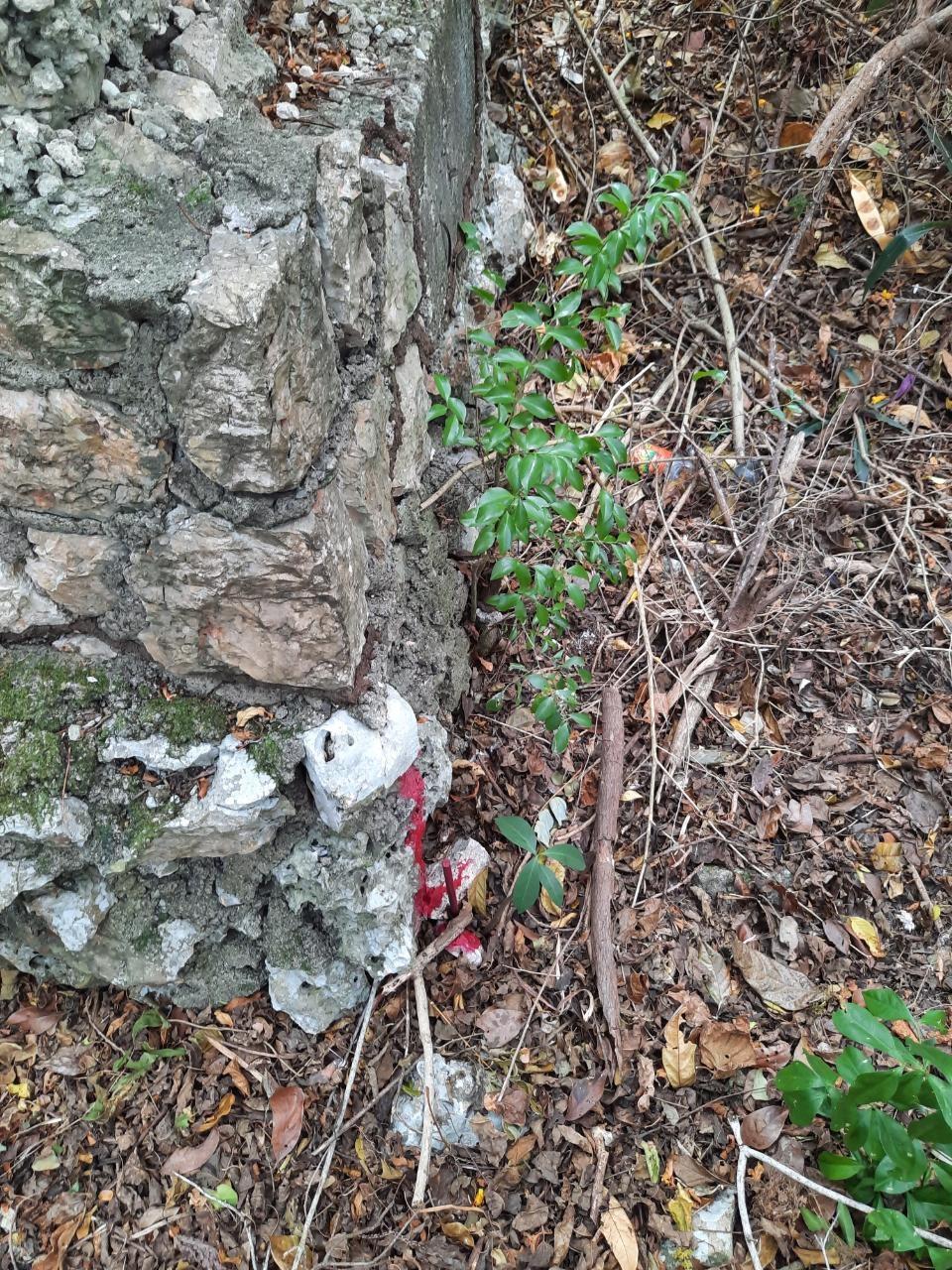 Ninth image of Lot #80-belvedere Belvedere Road in Belvedere, St. Andrew, Jamaica - property is For Sale