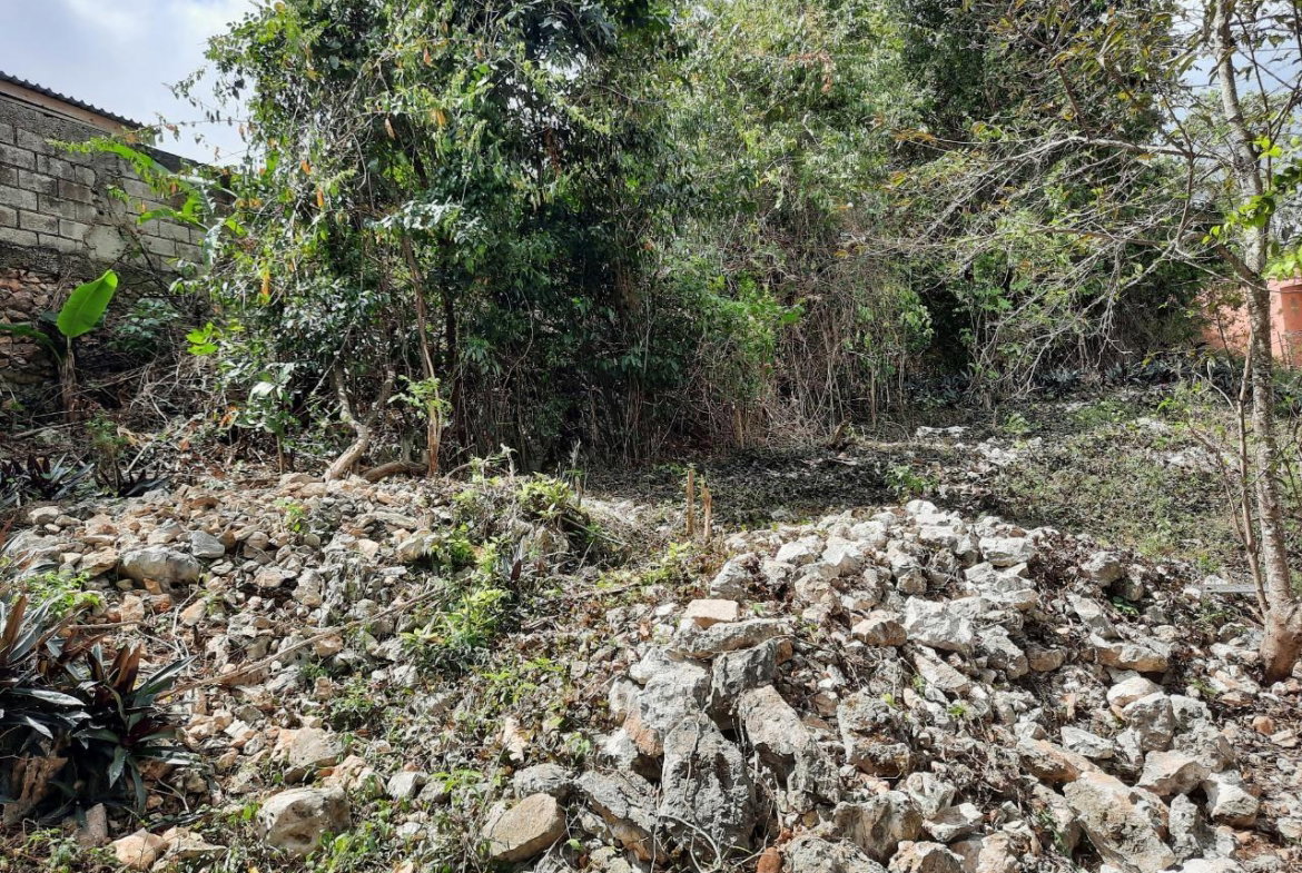 Tenth image of Lot #80-belvedere Belvedere Road in Belvedere, St. Andrew, Jamaica - property is For Sale