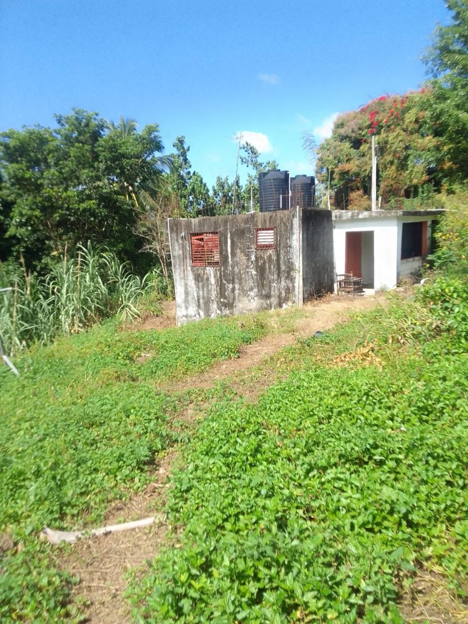 10-Acre-Fixer-Upper-in-Leyton-Valley-Orange-Bay-For-Sale Second image of Lot-19 & 20 Leyton Valley, Orange Bay in Orange Bay, Portland, Jamaica - property is For Sale