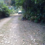 First image of Lot-19 & 20 Leyton Valley, Orange Bay in Orange Bay, Portland, Jamaica - property is For Sale