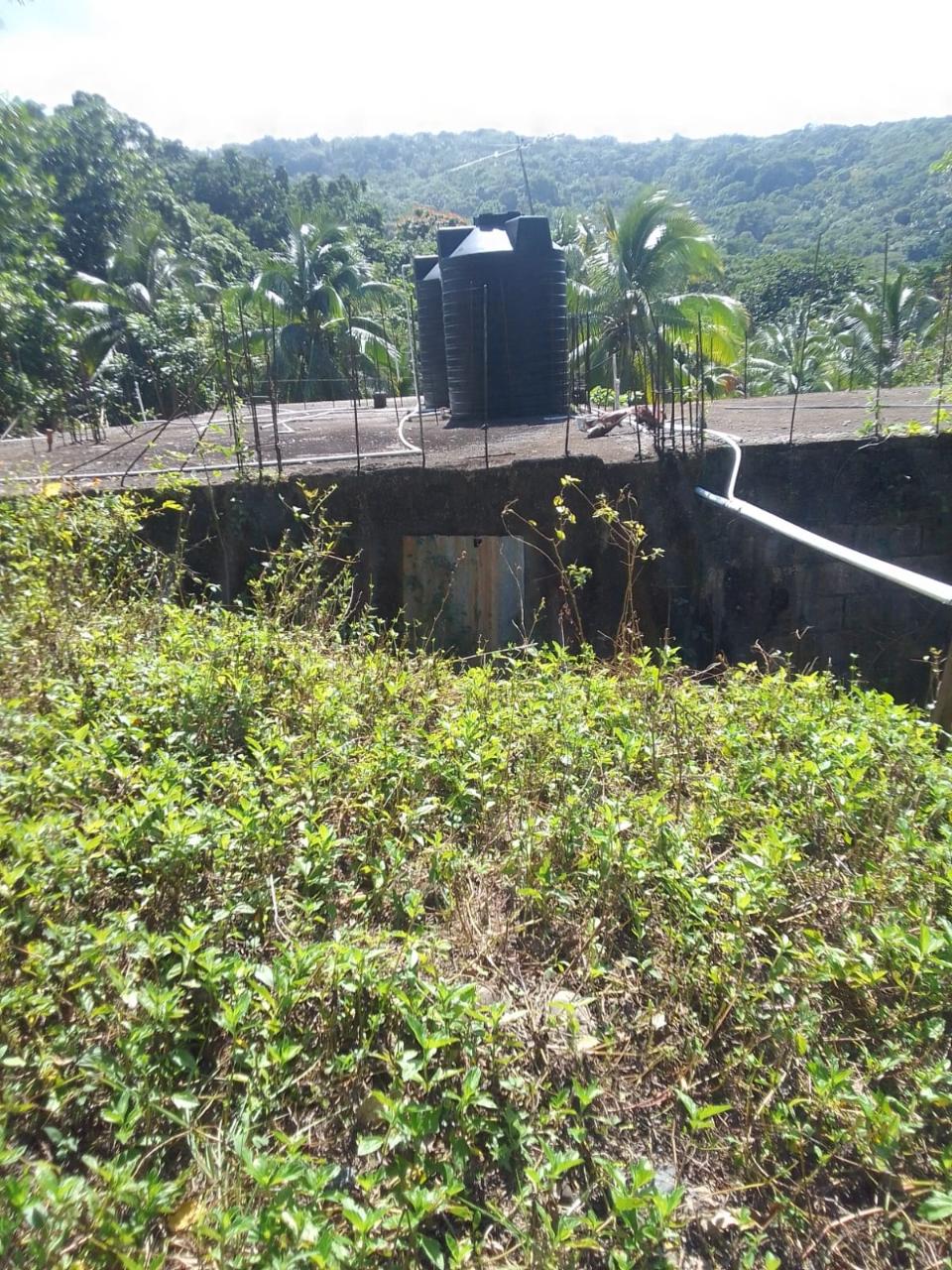 10-Acre-Fixer-Upper-in-Leyton-Valley-Orange-Bay-For-Sale Fifth image of Lot-19 & 20 Leyton Valley, Orange Bay in Orange Bay, Portland, Jamaica - property is For Sale