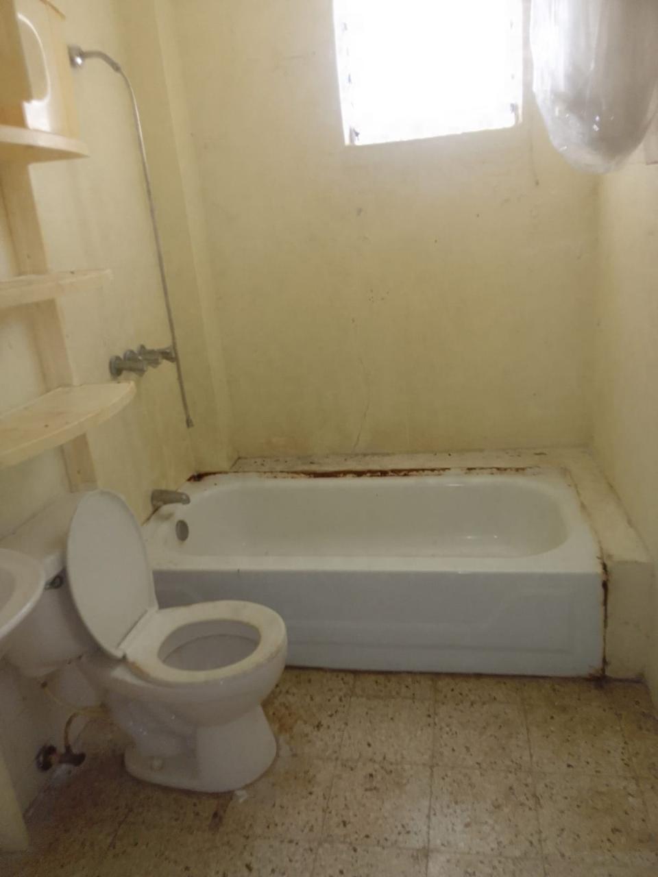 10-Acre-Fixer-Upper-in-Leyton-Valley-Orange-Bay-For-Sale Eighth image of Lot-19 & 20 Leyton Valley, Orange Bay in Orange Bay, Portland, Jamaica - property is For Sale