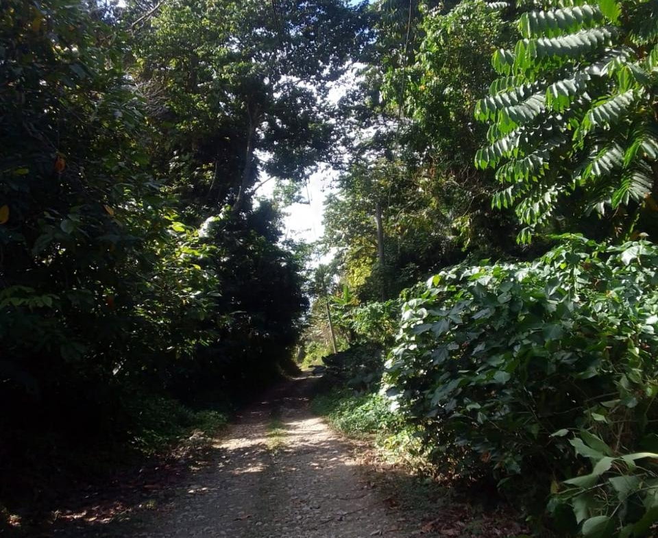 Tenth image of Lot-19 & 20 Leyton Valley, Orange Bay in Orange Bay, Portland, Jamaica - property is For Sale