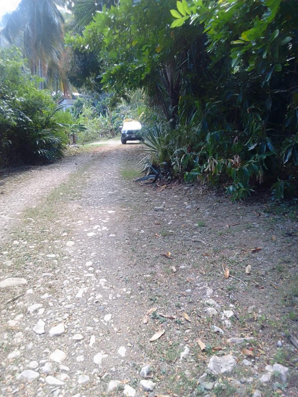 10-Acre-Fixer-Upper-in-Leyton-Valley-Orange-Bay-For-Sale First image of Lot-19 & 20 Leyton Valley, Orange Bay in Orange Bay, Portland, Jamaica - property is For Sale