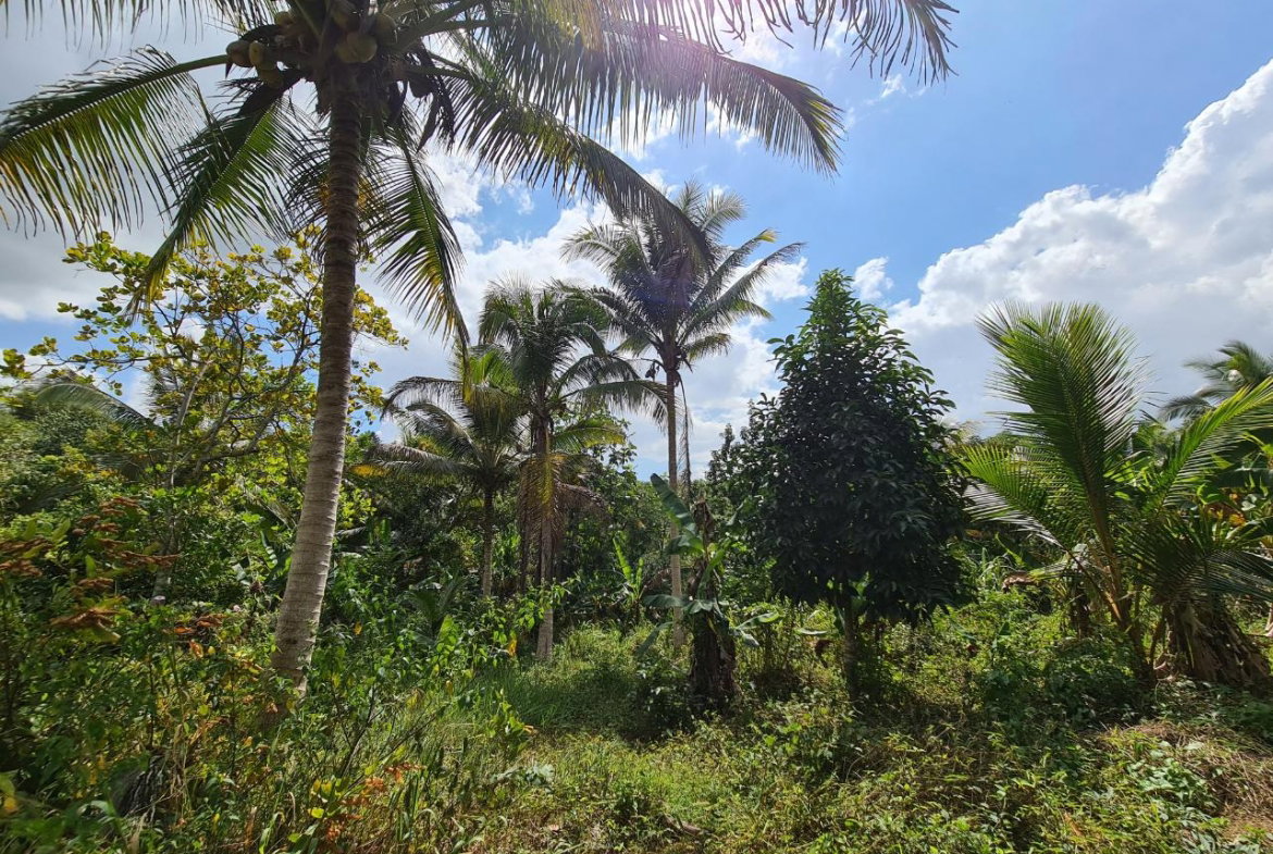 First image of Berwick in Linstead, St. Catherine, Jamaica - property is For Sale
