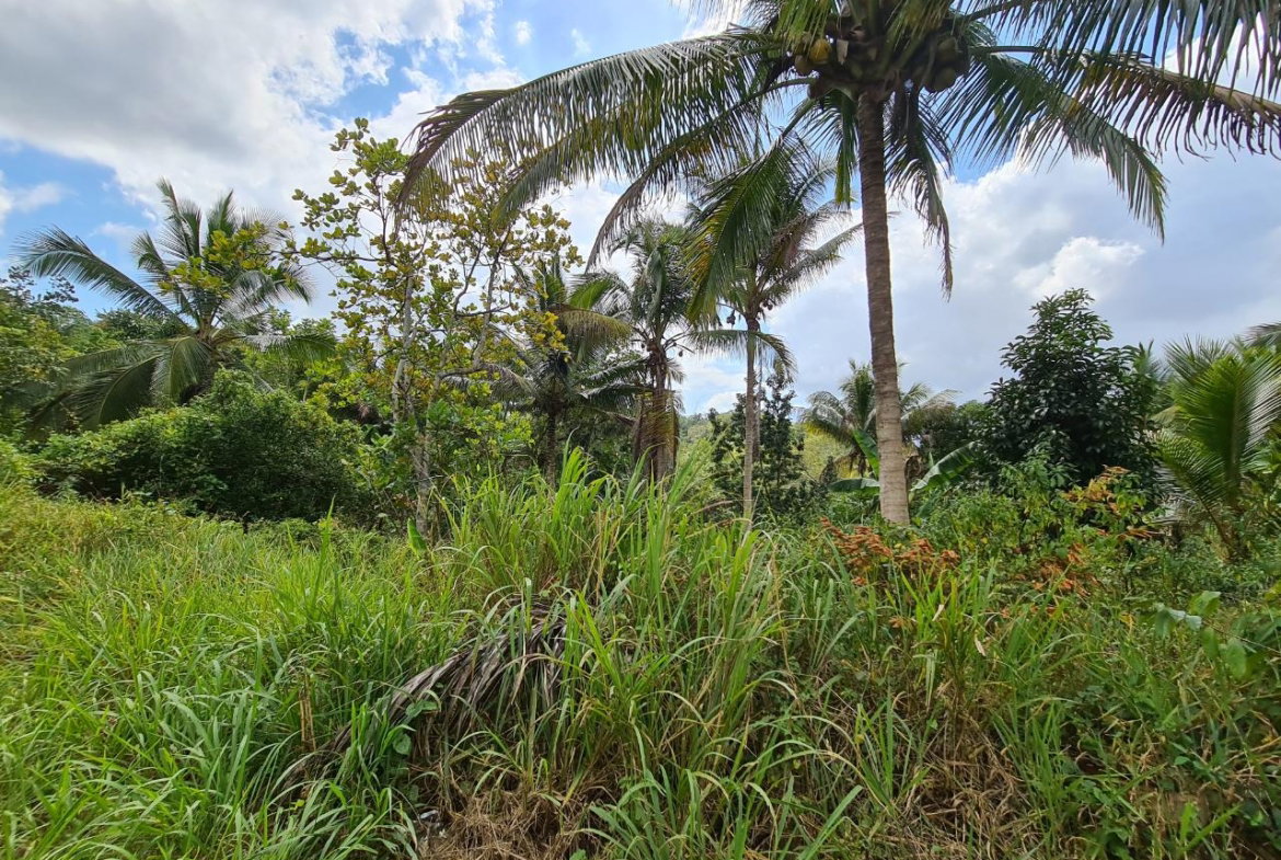 Third image of Berwick in Linstead, St. Catherine, Jamaica - property is For Sale