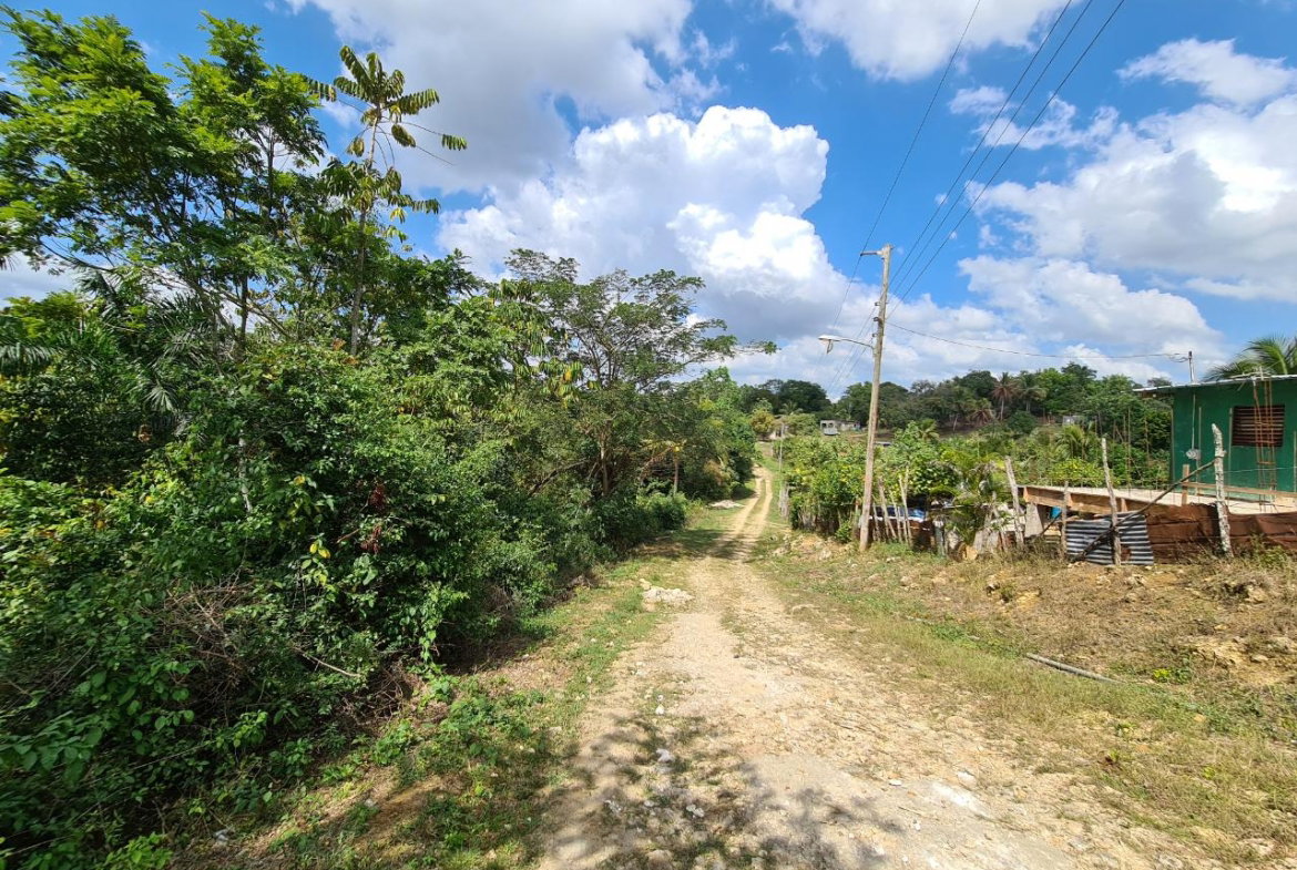 Sixth image of Berwick in Linstead, St. Catherine, Jamaica - property is For Sale