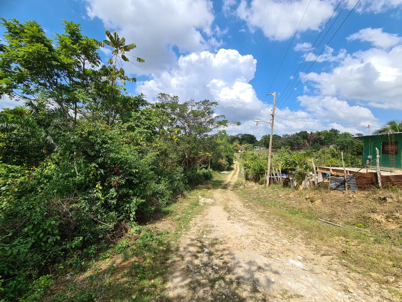 Sixth image of Berwick in Linstead, St. Catherine, Jamaica - property is For Sale
