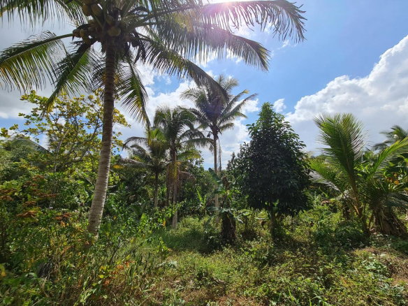 First image of Berwick in Linstead, St. Catherine, Jamaica - property is For Sale