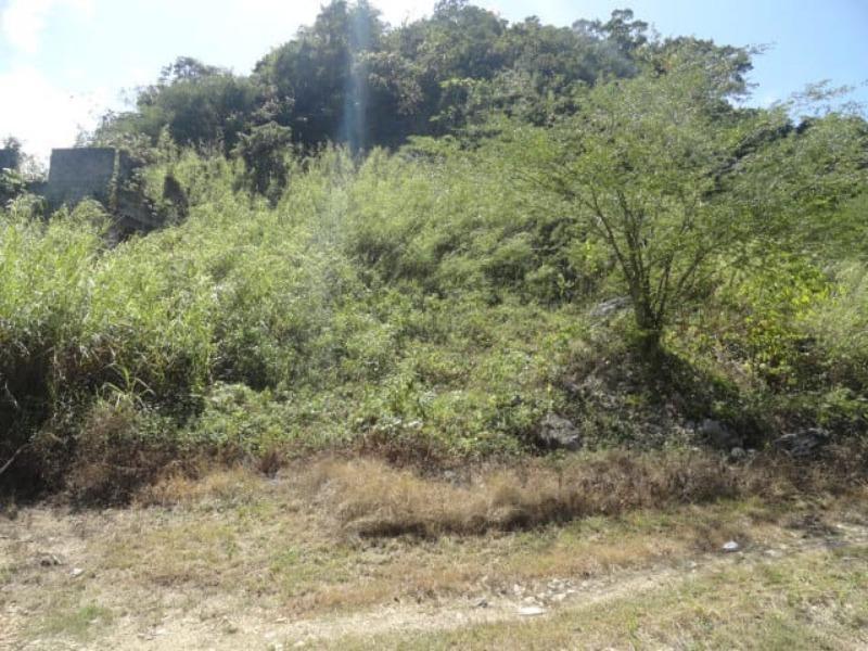 Second image of Blytheston in Blythston, St. James, Jamaica - property is For Sale
