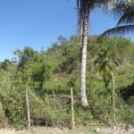 First image of Blytheston in Blythston, St. James, Jamaica - property is For Sale
