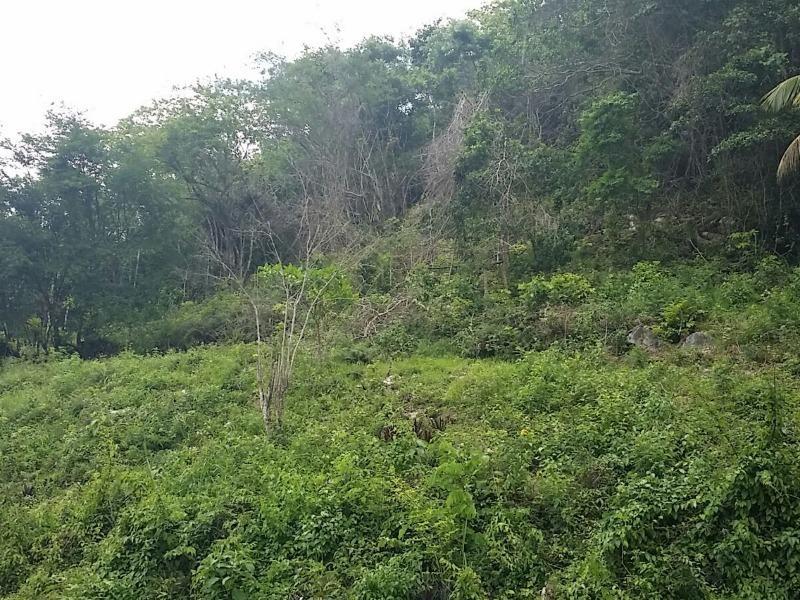 Third image of Blytheston in Blythston, St. James, Jamaica - property is For Sale