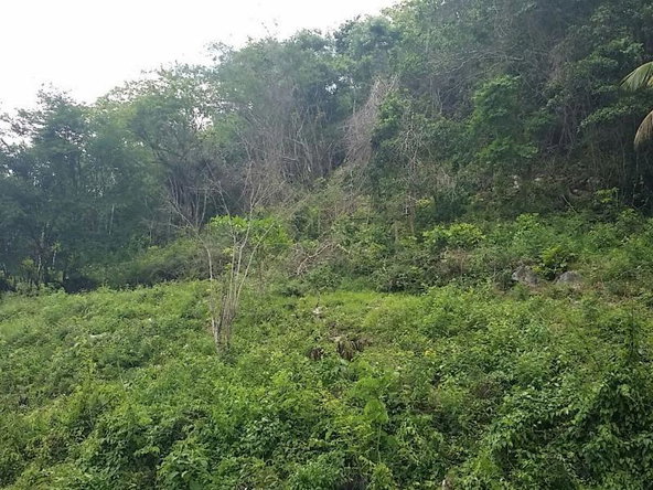 Third image of Blytheston in Blythston, St. James, Jamaica - property is For Sale