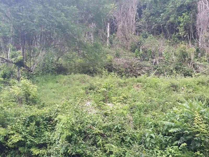 Fourth image of Blytheston in Blythston, St. James, Jamaica - property is For Sale
