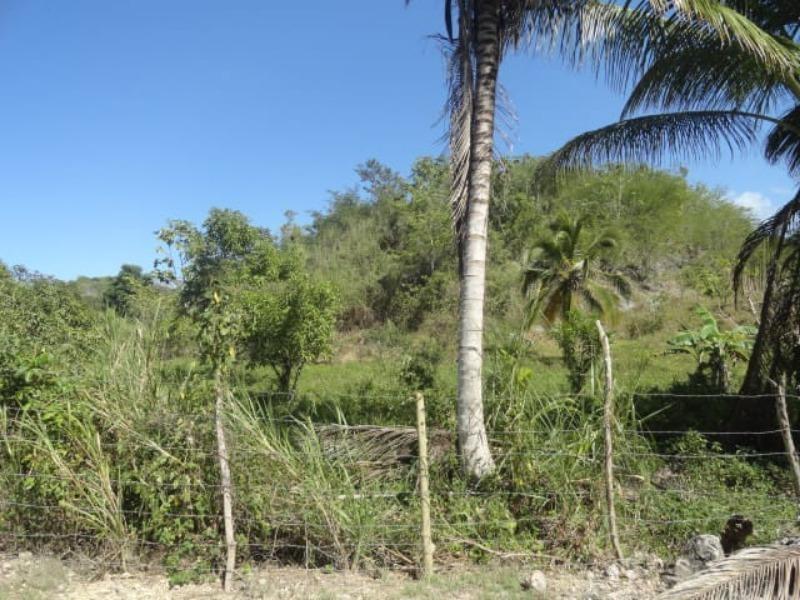 First image of Blytheston in Blythston, St. James, Jamaica - property is For Sale
