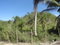 First image of Blytheston in Blythston, St. James, Jamaica - property is For Sale