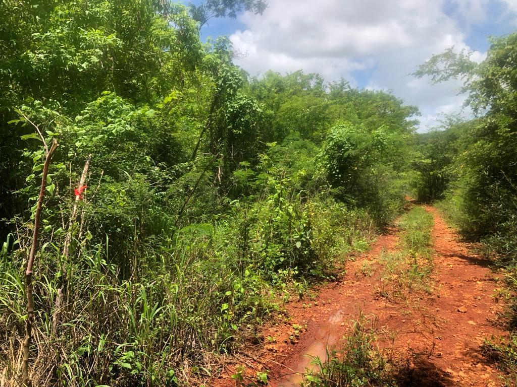 Eighth image of Teasedale in Old Harbour, St. Catherine, Jamaica - property is For Sale