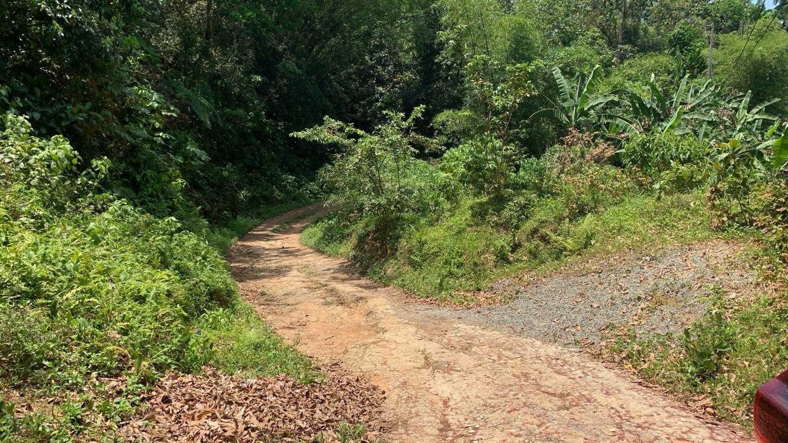 Second image of Land pt of Mount Wolfreys in Salibury Plain, St. Andrew, Jamaica - property is For Sale