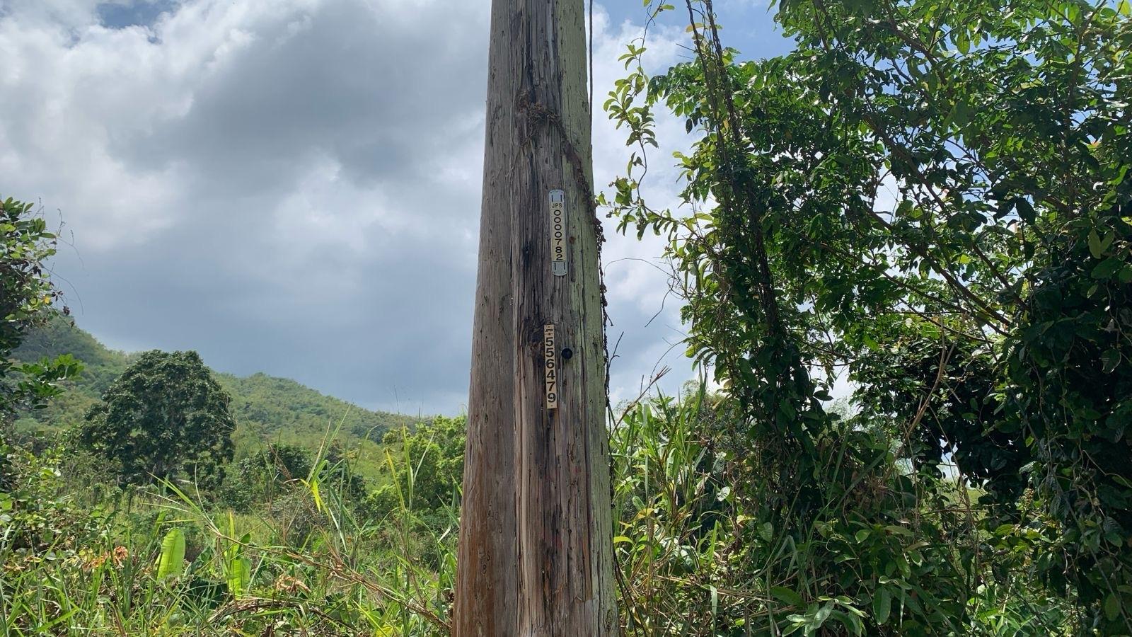 Third image of Land pt of Mount Wolfreys in Salibury Plain, St. Andrew, Jamaica - property is For Sale