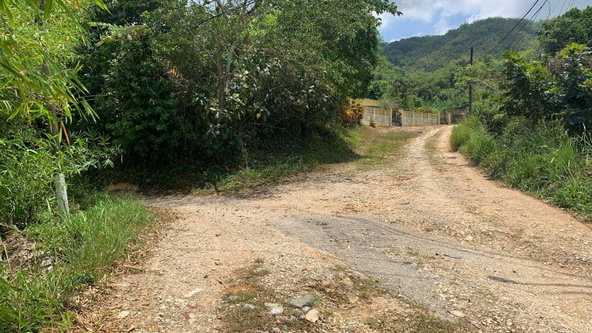 Fourth image of Land pt of Mount Wolfreys in Salibury Plain, St. Andrew, Jamaica - property is For Sale