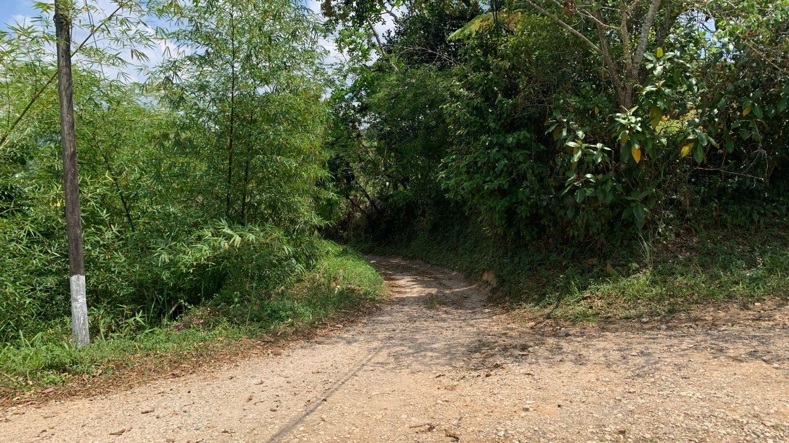 Fifth image of Land pt of Mount Wolfreys in Salibury Plain, St. Andrew, Jamaica - property is For Sale