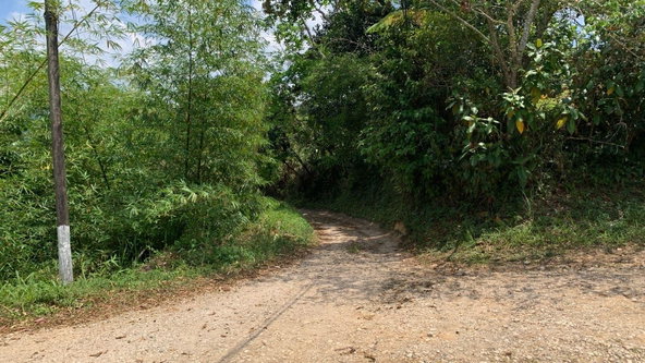 Fifth image of Land pt of Mount Wolfreys in Salibury Plain, St. Andrew, Jamaica - property is For Sale