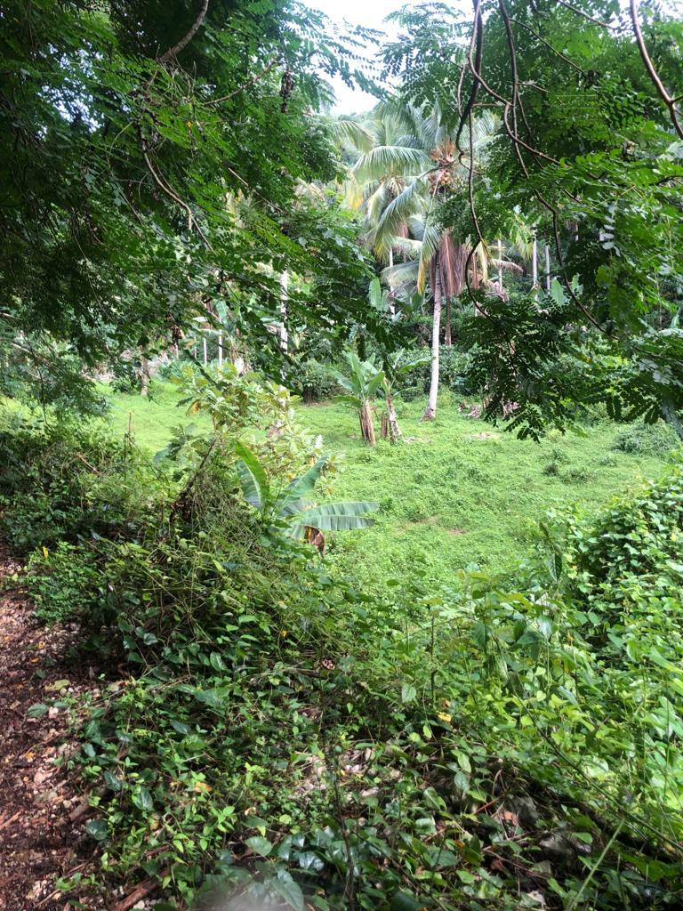 Fourth image of Lot 124 Dromilly in Dromilly, Trelawny, Jamaica - property is For Sale