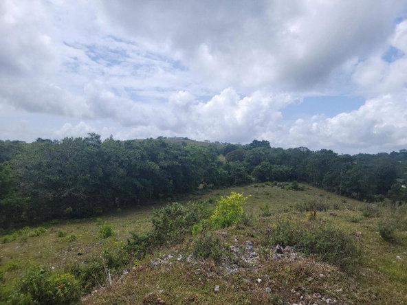 Second image of Epworth- Epworth, St. Ann in Epworth, St. Ann, Jamaica - property is For Sale