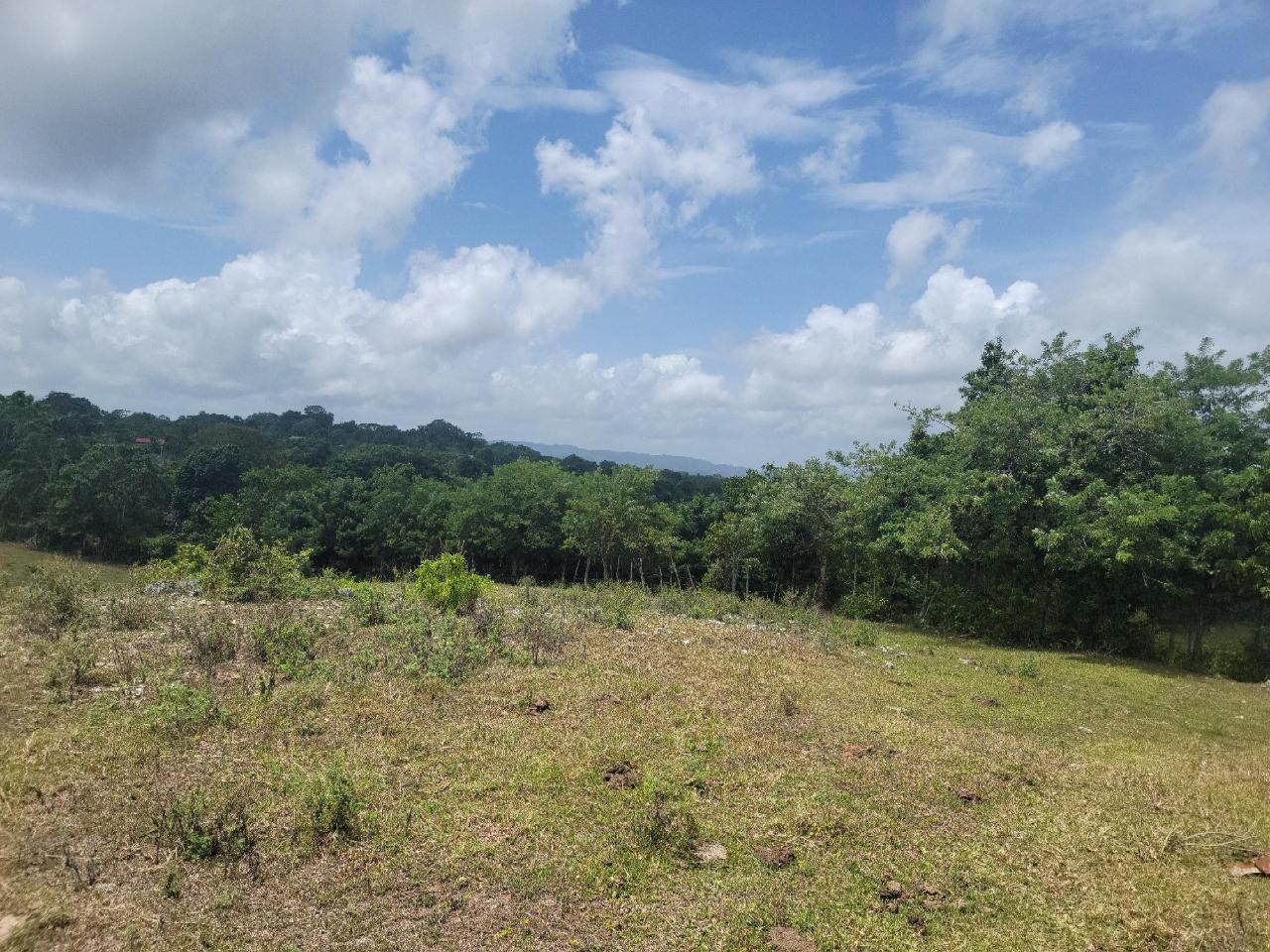 Fourth image of Epworth- Epworth, St. Ann in Epworth, St. Ann, Jamaica - property is For Sale