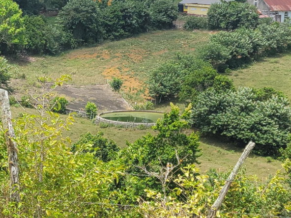 Sixth image of Epworth- Epworth, St. Ann in Epworth, St. Ann, Jamaica - property is For Sale