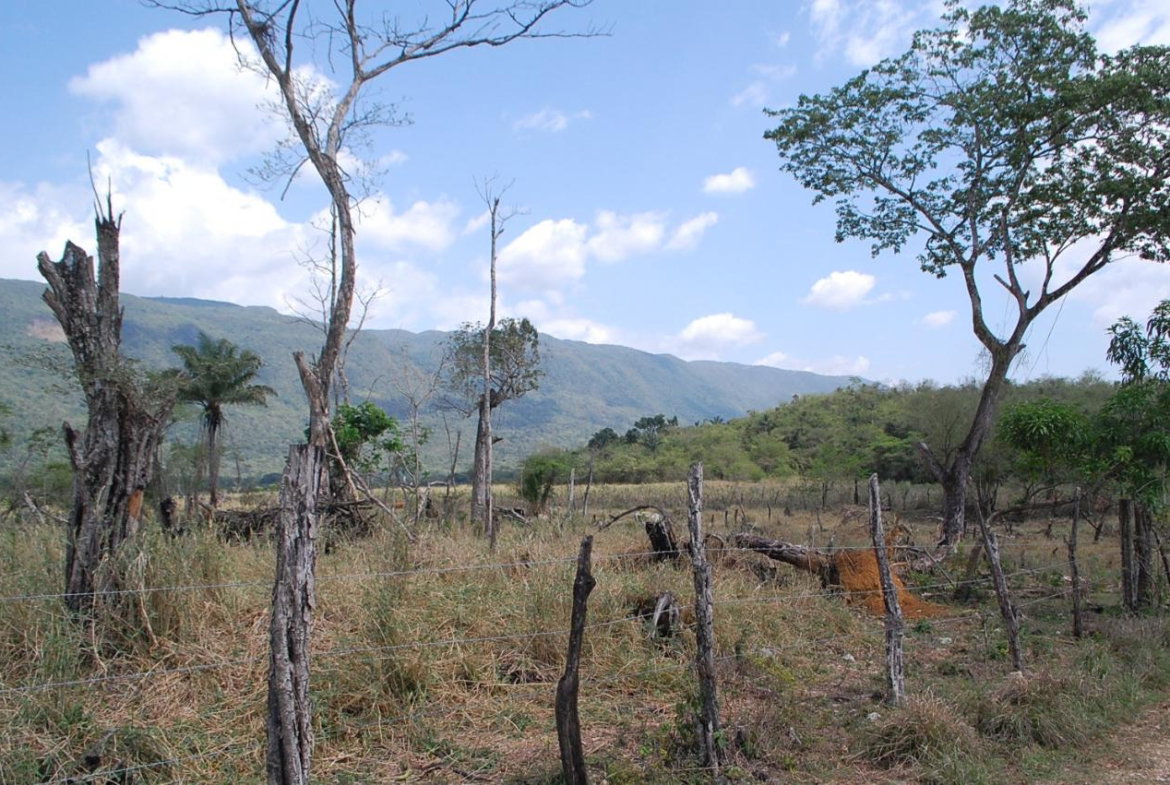 Third image of 13 Bogue, Saint Elizabeth in Elim, St. Elizabeth, Jamaica - property is For Sale