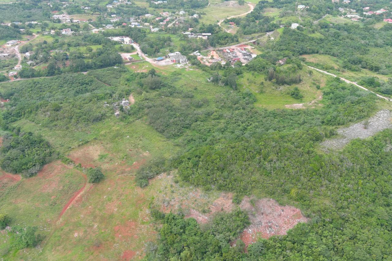 Seventh image of Land Part of Knockpatrick in Knockpatrick, Manchester, Jamaica - property is For Sale