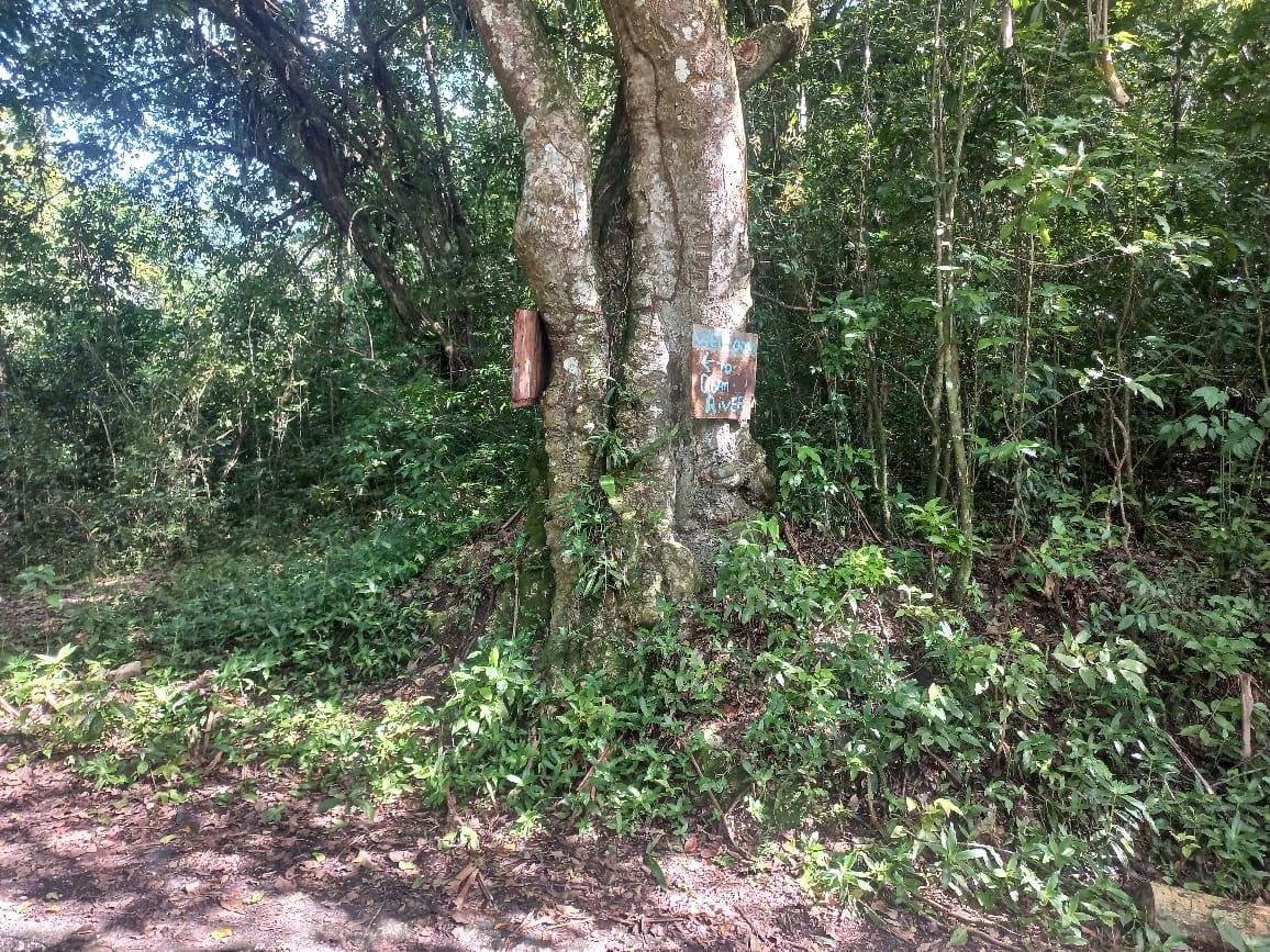 Third image of Home Castle, Stewart Town in Keith, St. Ann, Jamaica - property is For Sale
