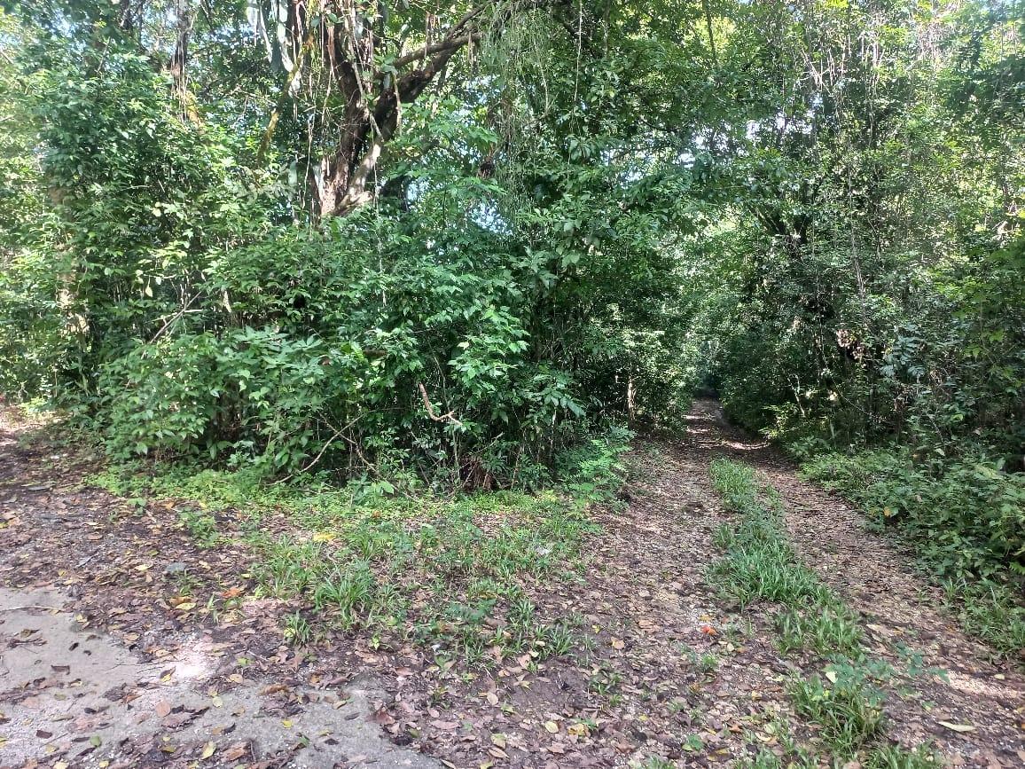 Fourth image of Home Castle, Stewart Town in Keith, St. Ann, Jamaica - property is For Sale