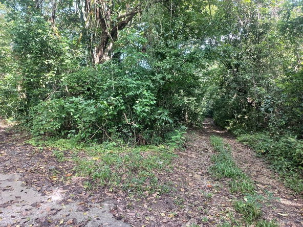 Fourth image of Home Castle, Stewart Town in Keith, St. Ann, Jamaica - property is For Sale