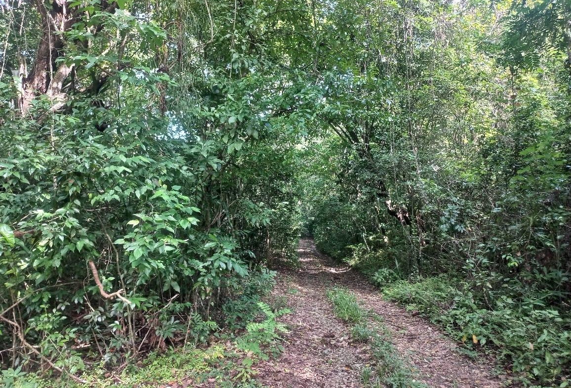 Fifth image of Home Castle, Stewart Town in Keith, St. Ann, Jamaica - property is For Sale