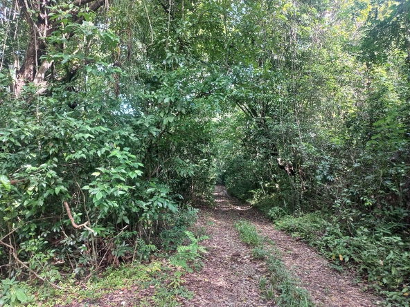 Fifth image of Home Castle, Stewart Town in Keith, St. Ann, Jamaica - property is For Sale