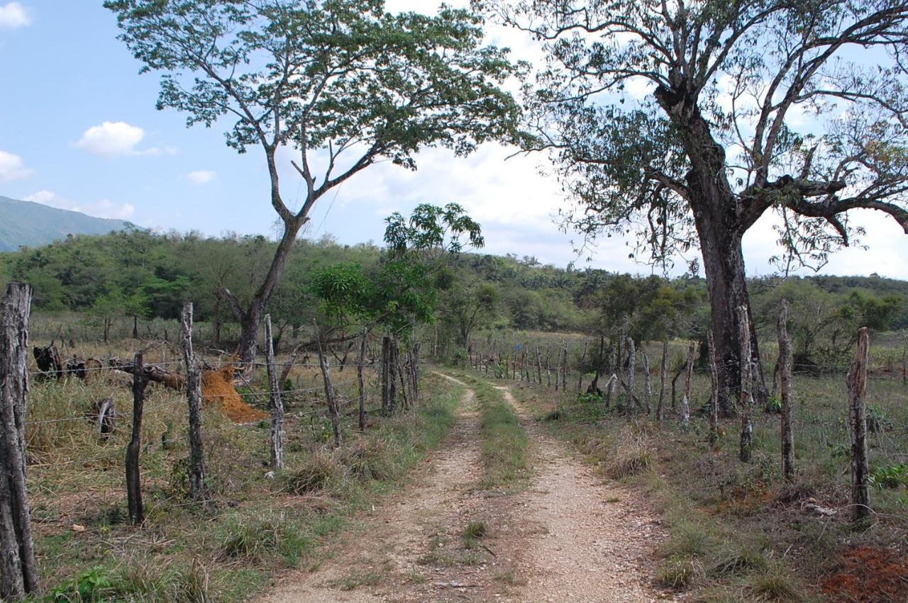 Third image of 1 Bogue, Saint Elizabeth in Elim, St. Elizabeth, Jamaica - property is For Sale