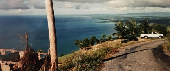 Second image of Cave Mountain, Westmorela in Cave, Westmoreland, Jamaica - property is For Sale