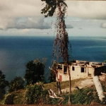 First image of Cave Mountain, Westmorela in Cave, Westmoreland, Jamaica - property is For Sale