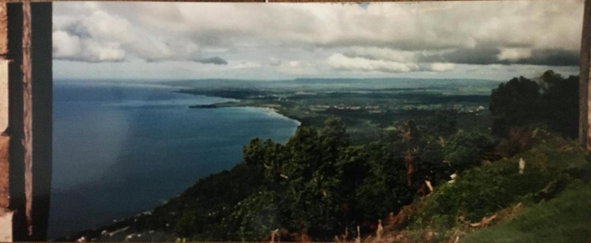 Fourth image of Cave Mountain, Westmorela in Cave, Westmoreland, Jamaica - property is For Sale
