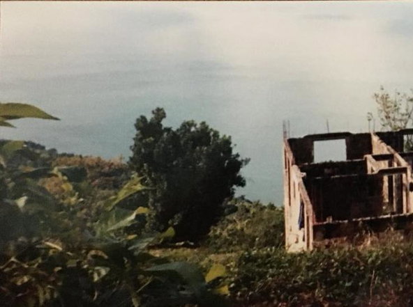 Fifth image of Cave Mountain, Westmorela in Cave, Westmoreland, Jamaica - property is For Sale