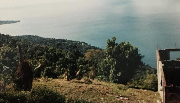Sixth image of Cave Mountain, Westmorela in Cave, Westmoreland, Jamaica - property is For Sale