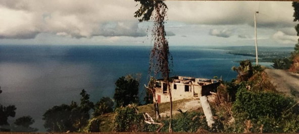 First image of Cave Mountain, Westmorela in Cave, Westmoreland, Jamaica - property is For Sale