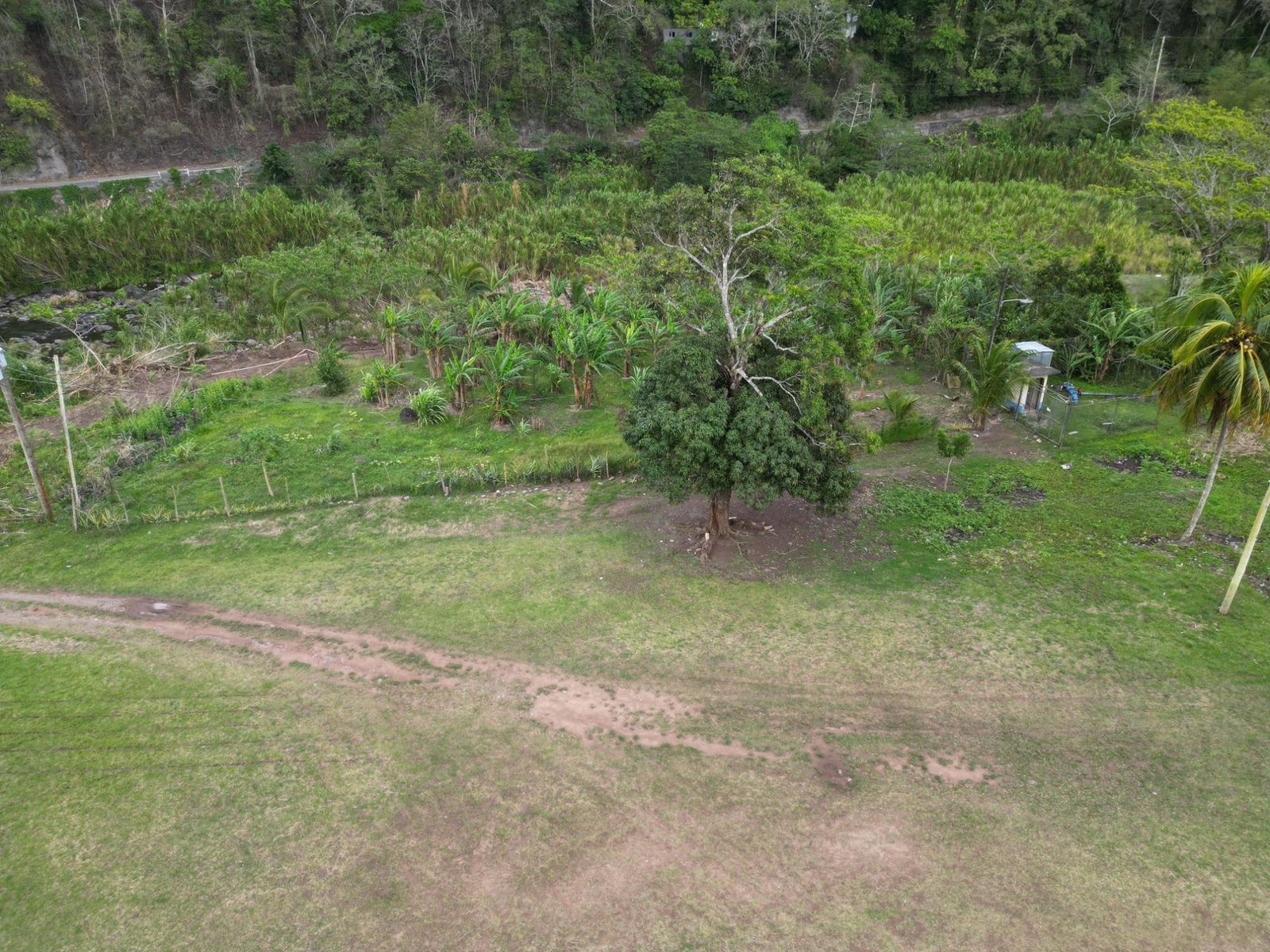 112-Acres-of-Prime-Residential-Development-Land-in-Broadgate-Jamaica Twelfth image of Broadgate in Broadgate, St. Mary, Jamaica - property is For Sale
