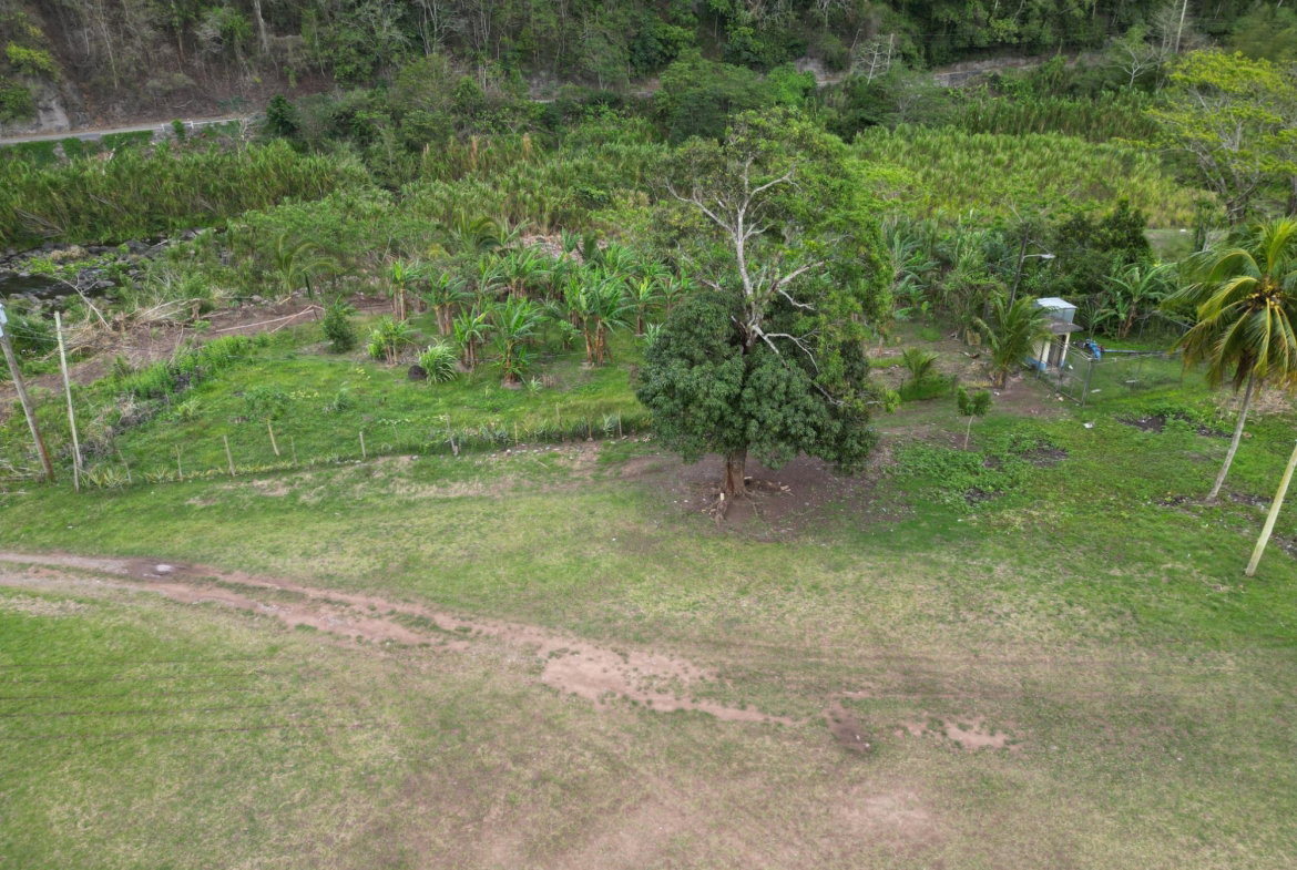 Thirteenth image of Broadgate in Broadgate, St. Mary, Jamaica - property is For Sale
